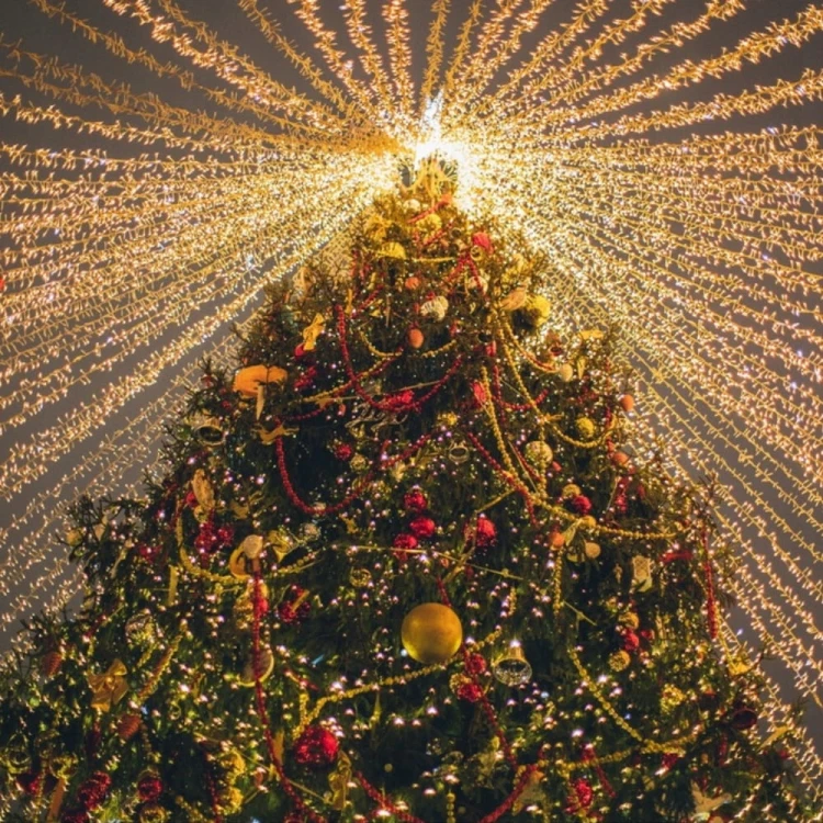 Lampki Choinkowe 500Led Świąteczne Zewnętrzne Wewnętrzne Ciepły Białe 33m