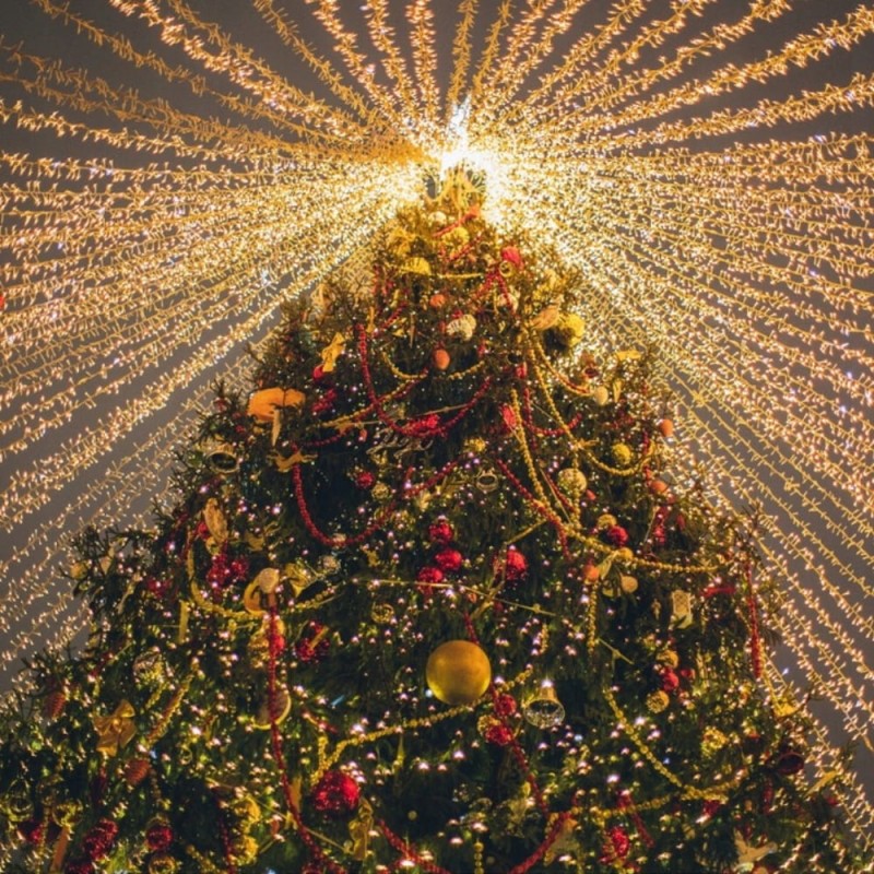 Lampki Choinkowe 500Led Świąteczne Zewnętrzne Wewnętrzne Ciepły Białe 33m