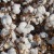 Zapach do samochodu Kratki Nawiewu Długotrwały 60 dni Fresh cotton