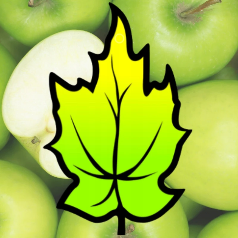 Zapach Samochodowy Zawieszka zapachowa Choinka Zapachowa Apple